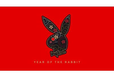 Year of The Rabbit 
