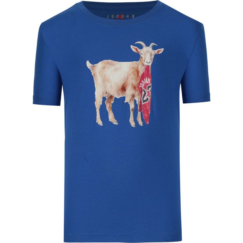 Air Jordan Flight Goat T-Shirt Youth Sport Blue Side Step