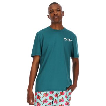 PYB293DT-PYB-OLD-ENGLISH-DP-TLEAL-PB-SS25-MA-0071-V1