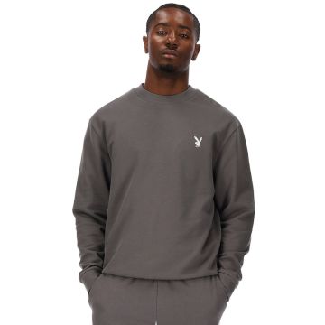 PYB384G-PYB-SWT-CORE-TERRY-GRY-PB-AW26-MA-0067-V1