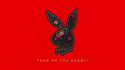 Year of The Rabbit 