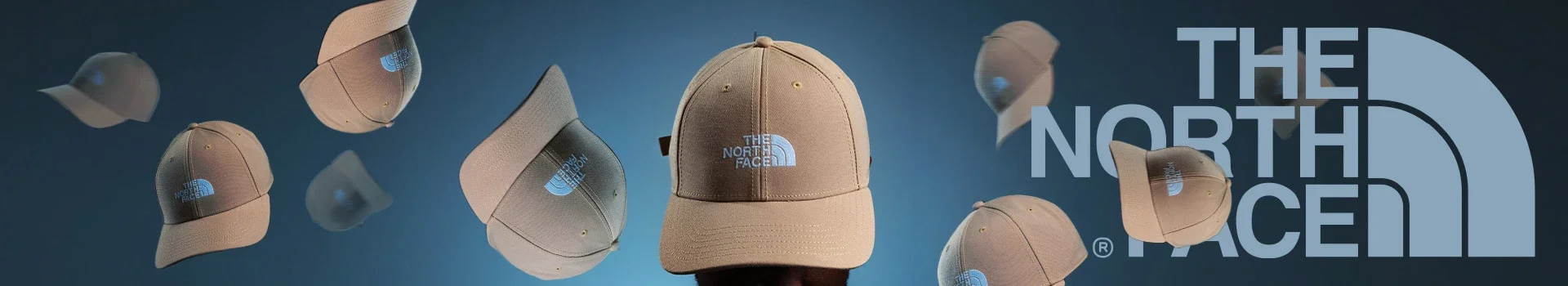 The North Face Banner