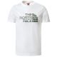 Shop The North Face Easy T-shirt Youth White Green at Side Step Online