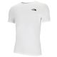 Shop The North Face NSE Graphic T-shirt Mens White at Side Step Online